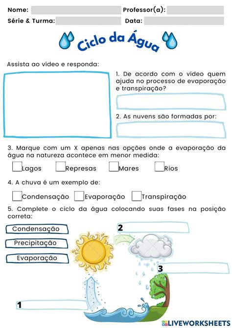 Ciclo Da Gua Igui Ecologia Artofit