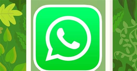 В WhatsApp появились «Сообщества»: рассказываем, что это такое | theGirl