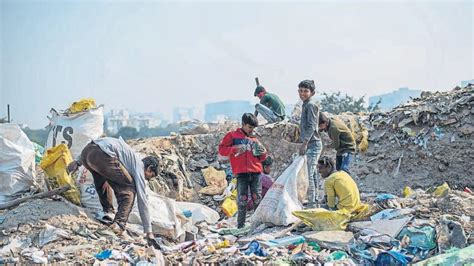 Reducir La Basura Que Enviamos A Los Vertederos Nos Implica A Todos