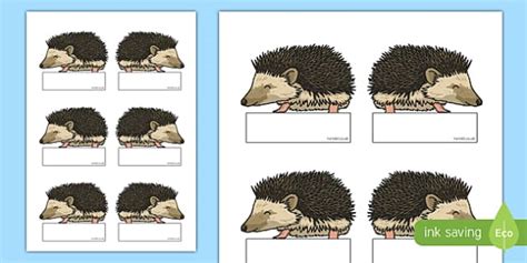 Hedgehog Editable Self Registration Hecho Por Educadores