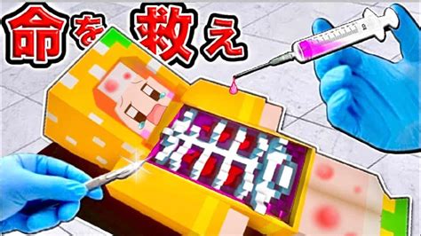 ピコみんず マイクラ（minecraft）動画まとめ