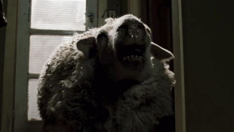 Black Sheep Movie Gif