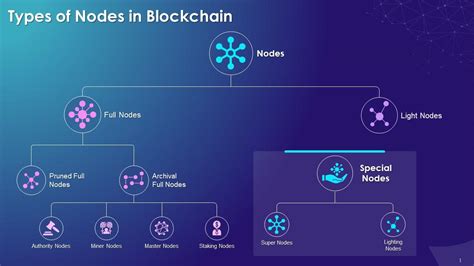 Types Of Nodes In Blockchain Training Ppt Ppt Presentation