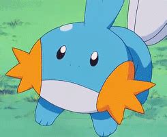 Pokemon Mudkip Pokemon Is Managed By The Need For Bead