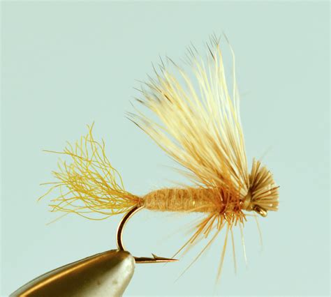 Top Spruce Moth Fly Patterns The Missoulian Angler Fly Shop