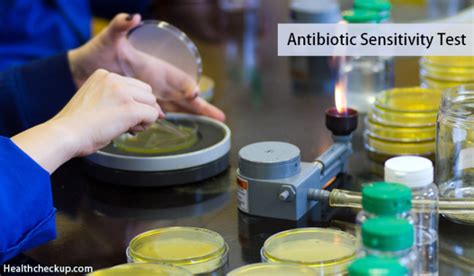 Antibiotic Sensitivity Test Results Interpretation And Procedure