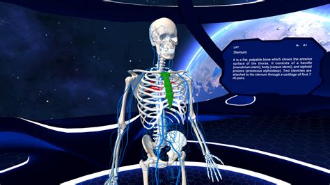 Human Anatomy Vr On Ps Official Playstationstore Canada