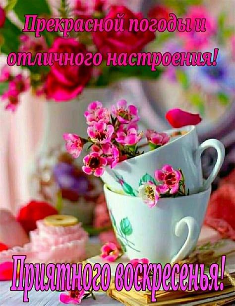 Открытка Приятного воскресенья! Прекрасной погоды и отличного настроения!