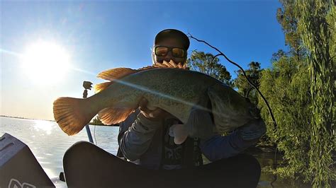 Lake Mulwala Murray Cod Kayak Fishing YouTube