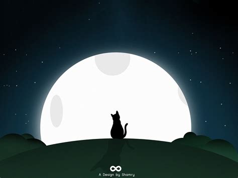 Lonely Cat by Shamry on Dribbble