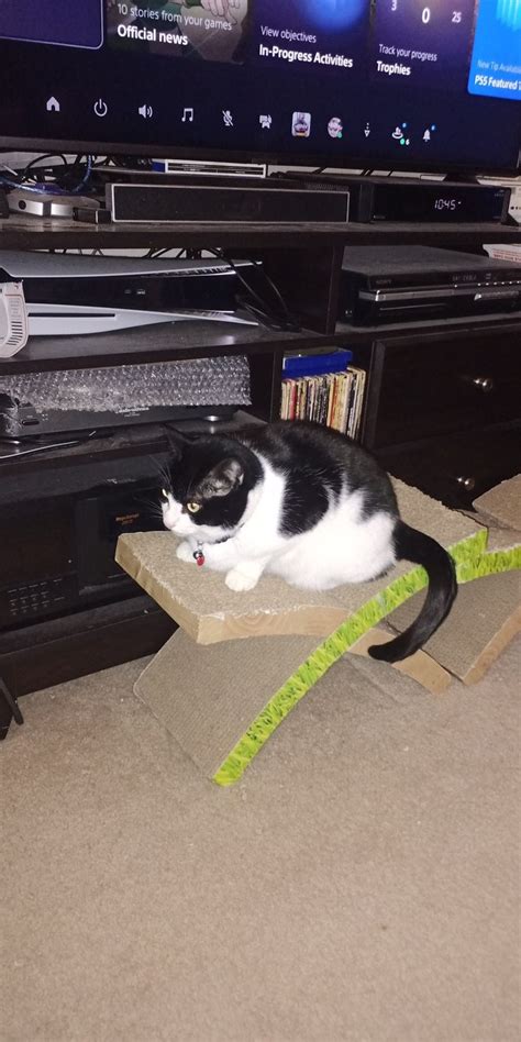 A Black And White Cat Laying On Top Of A Cardboard Box In Front Of A Tv