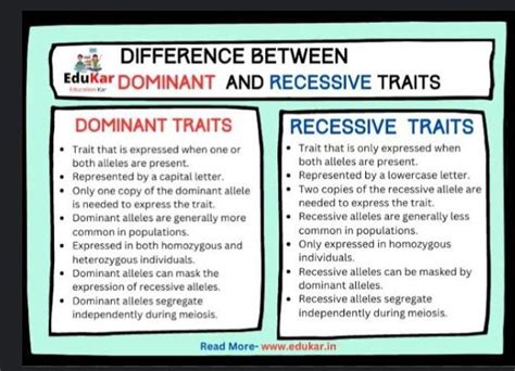 What Is The Difference Between A Dominant And Recessive Trait