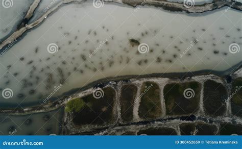 Aerial View of a Vast Coastal Seaweed Plantation, the Patterned Arrays ...