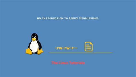 An Introduction To Linux Permissions The Linux Tutorials