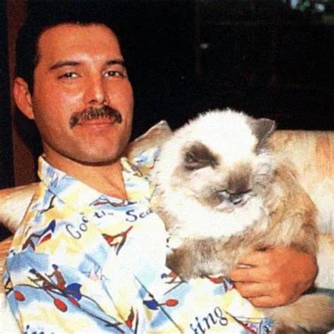 15 Rare Photos Of Freddie Mercury And His Cats That Show How Much He ...