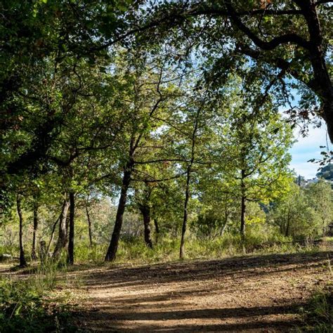 Walks Through The Trails Charm Of Provence French Riviera