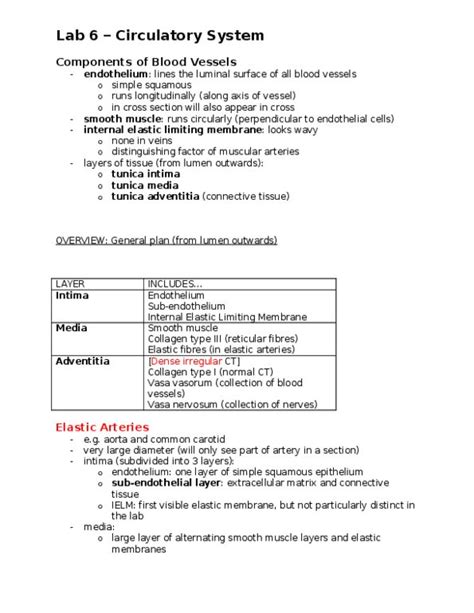 Anat Lecture Notes Fall Arteriole