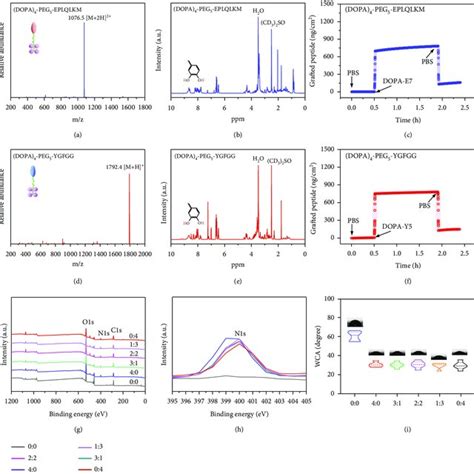 Characterization Of The Two Biomimetic Peptides And Their Adhesion To