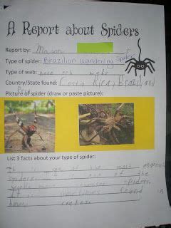 Third Grade Love Pig And Spider Research Reports Freebies