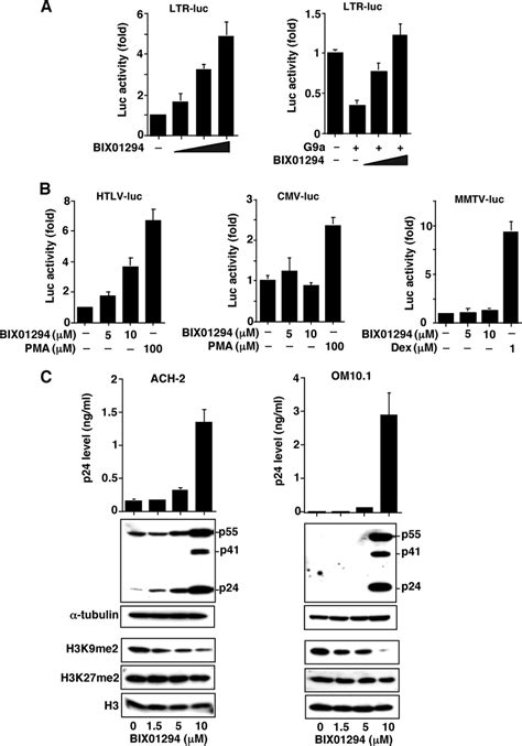 Effects Of G A Inhibitor Bix On Hiv Replication A Activation