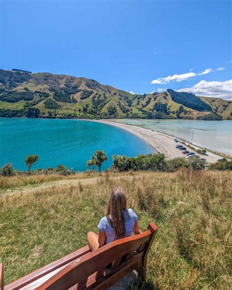 35 BEST Things to do in Nelson, New Zealand (2024 Guide!) - My Queenstown Diary