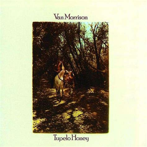 The 10 Best Van Morrison Albums To Own On Vinyl — Vinyl Me, Please