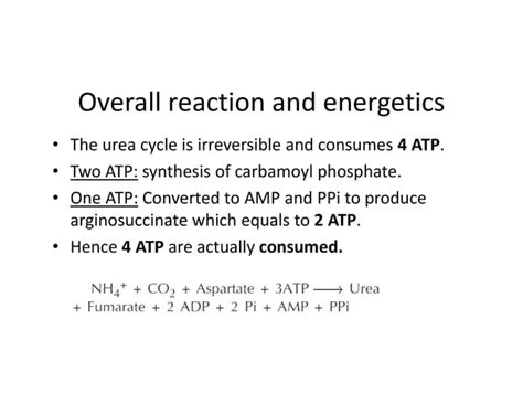 Urea Cycle | Energetics of Urea Cycle | Regulation of Urea Cycle ...