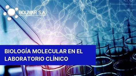 Implementar BiologÍa Molecular En El Laboratorio ClÍnico Laboratorio Bolivar