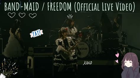 Band Maid Freedom Official Live Video Reaction Youtube