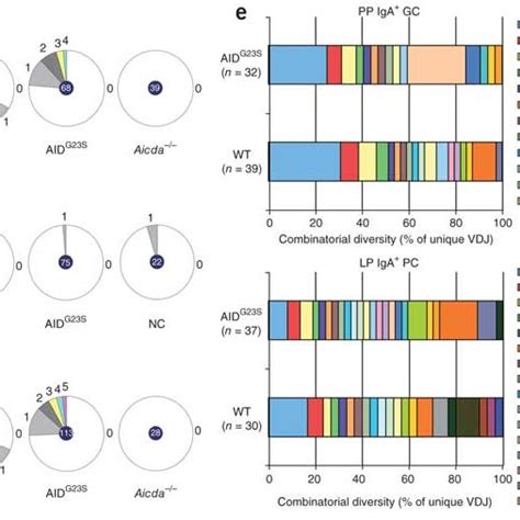 Gc B Cell Hyperplasia In Aidg23s Mice A Flow Cytometry Of Gc B Cells Download Scientific