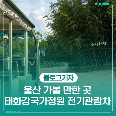 울산 가볼 만한 곳 태화강국가정원 산책 및 전기관람차 탑승 울산광역시 웰로