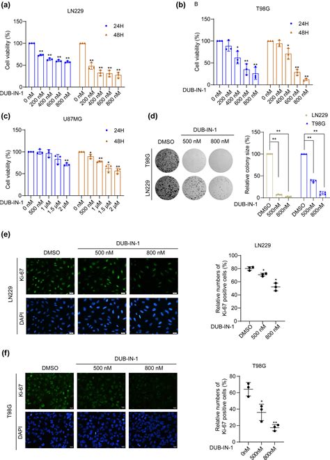 Pharmacological Inhibition Of The Ubiquitin Specific Protease 8