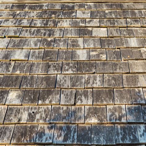 Wooden Roof Tiles Stock Photo Image Of Texture Plank