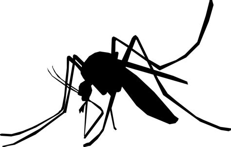 Free Mosquito Clipart Black And White, Download Free Mosquito Clipart ...