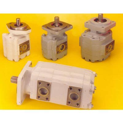 Hydraulic Gear Pump Motor Deghayegh Hydraulics Company