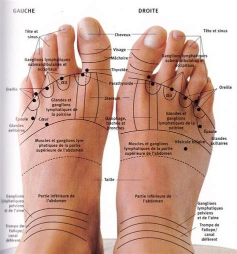 Reflexology Chart Reflexology Massage Acupuncture Points Acupressure