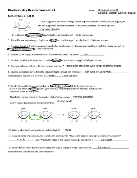 Biochemistry Review Worksheet And Answers Biochemistry Review