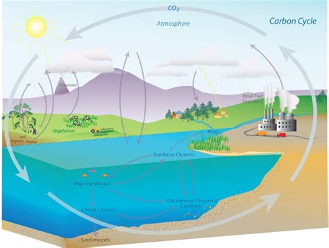 The TRACER Lab At UR Tracking Radioisotopes For Aquatic Chemistry And