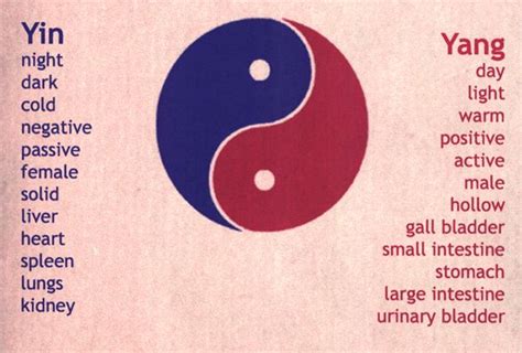 Yin And Yang Meaning Yin Yang Yin Yang Meaning Yin Yang Qualities