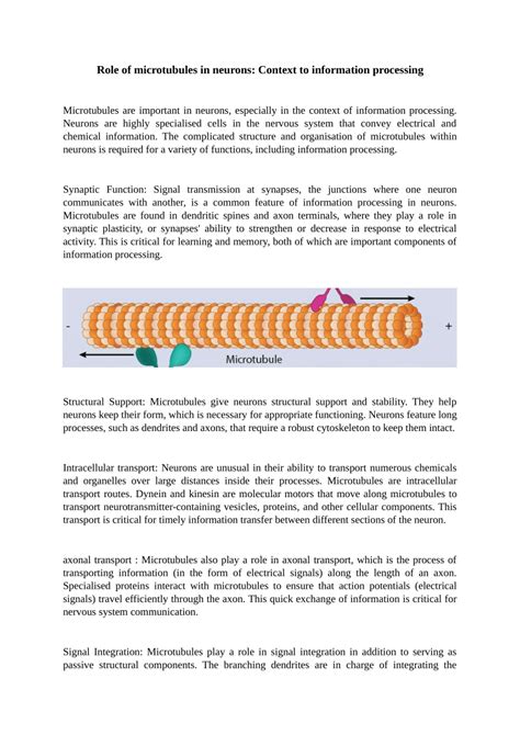 (PDF) Role of microtubules in neurons: Context to information processing