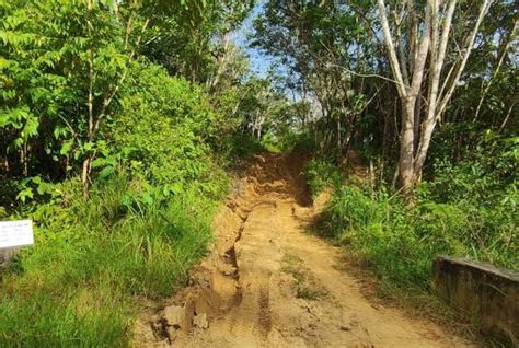 Bijak Jalan Usaha Tani Di Sepaku Harus Diperhatikan