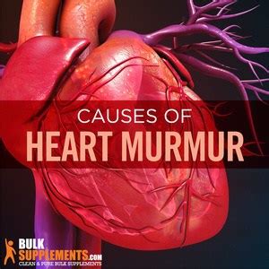 Heart Murmur Causes Characteristics Treatment