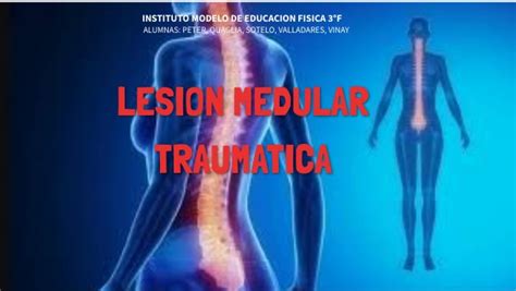 Afa Lesion Medular Traumatica