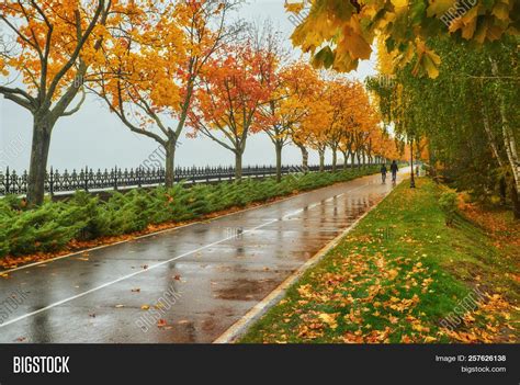 Autumn Park Rainy Image And Photo Free Trial Bigstock