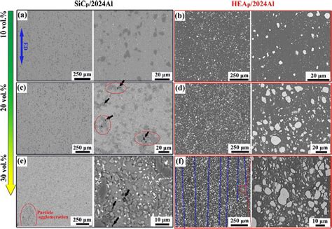 SEM Images Of Hot Extruded Composites Along The Extrusion Direction