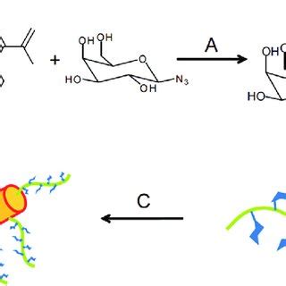 Synthesis Of Polymer Coated Gold Nanoparticle Conditions A Copper