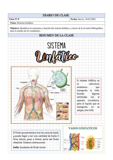 Fluido Linfatico