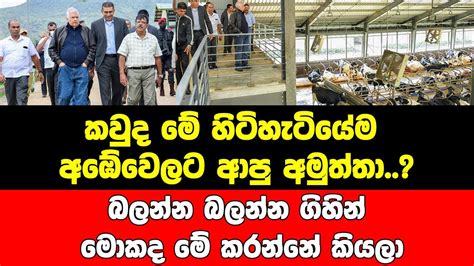 කවුද මේ හිටිහැටියේම අඹේවෙලට ආපු අමුත්තා බලන්න බලන්න ගිහින් මොකද මේ කරන්නේ කියලා Youtube