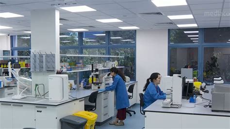 cna  twitter big investors pour funds  longevity research