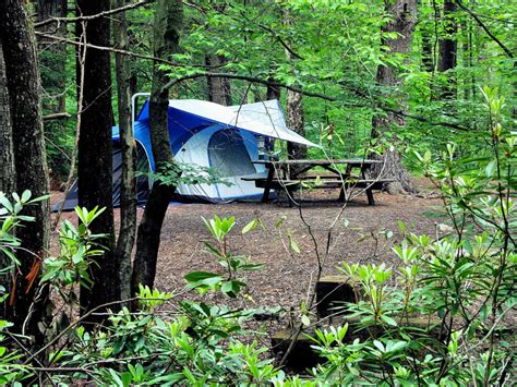 Camp Site White Oaks